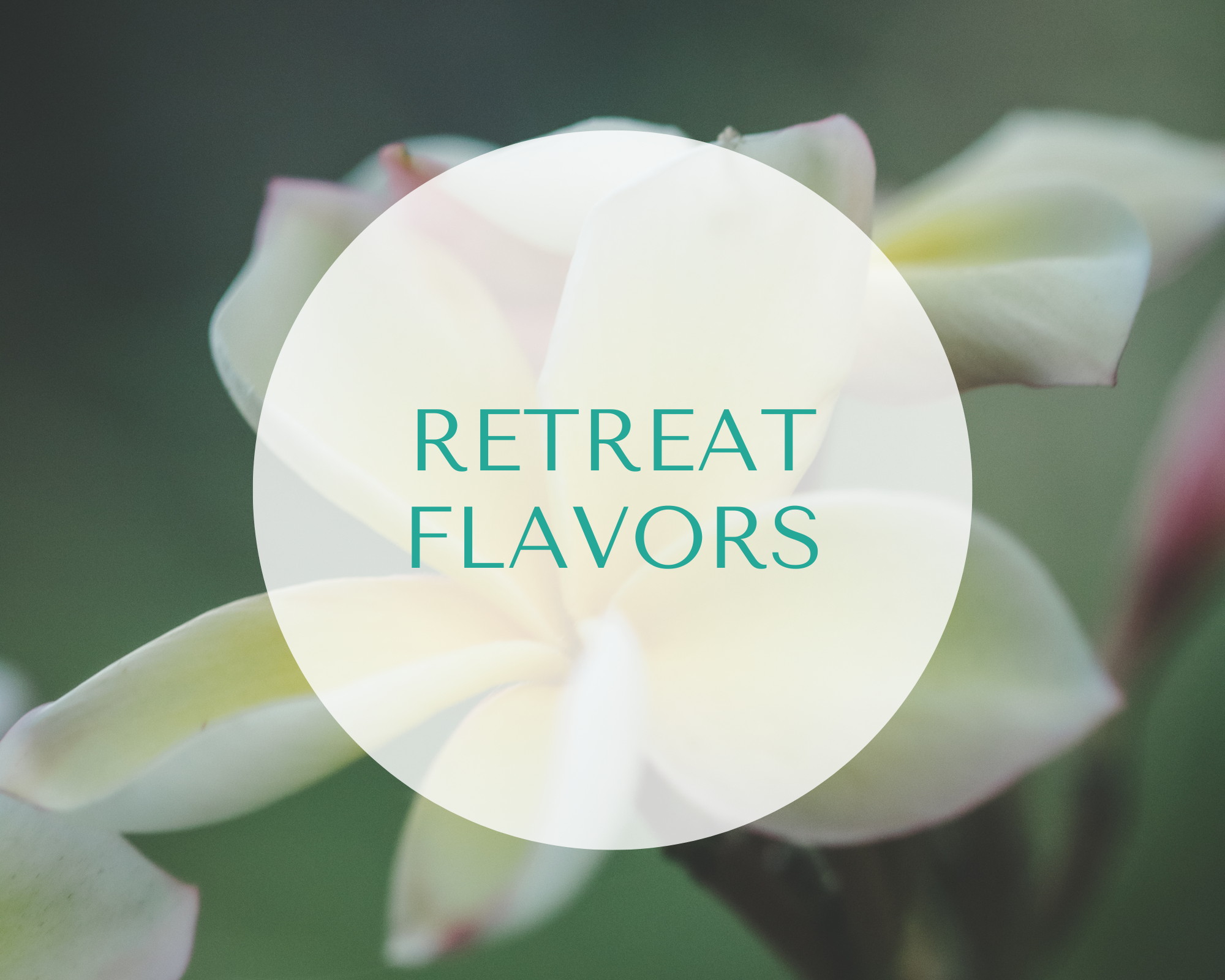 post retreat rezepte für den veganen yoga glow